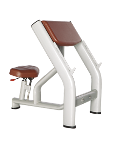 BRONZE GYM H-040A Скамья Скотта