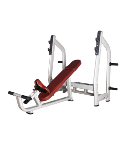 BRONZE GYM H-025 Скамья для жима с положительным наклоном - фото 20681