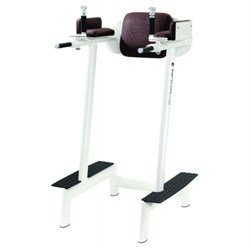 Тренажер пресс-брусья Gym80  Sygnum Basic 4046 - фото 20931