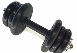 Гантель 12.5 кг - фото 21177