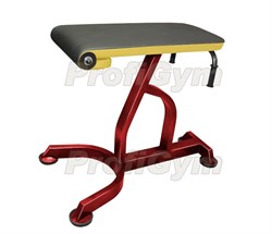 Скамья для выполнения обратных гиперэкстензий Rubin - фото 23691