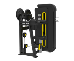 Грузоблочный тренажер для дельты SVENSSON INDUSTRIAL H3005 Matte black - фото 33392