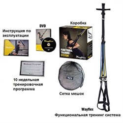 Ременной тренажер Wayflex FTS (Functional Training System) - фото 33661