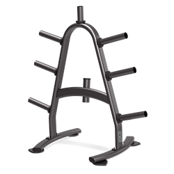 BRONZE GYM BR-1022 Стойка для дисков - фото 39817