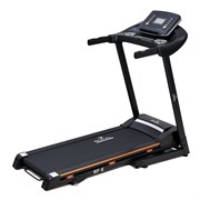 Беговая дорожка электрическая ROYAL Fitness RF-6