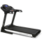 Беговая дорожка Carbon Premium World Runner T2 - фото 11776