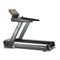 Беговая дорожка CardioPower Pro CT450 - фото 13093