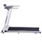 Беговая дорожка EVO FITNESS Vector II - фото 13962