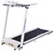 Беговая дорожка EVO FITNESS Vector II - фото 13963
