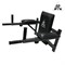 Брусья настенные DFC Homegym G294 - фото 20265