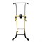 Турник - брусья Power Tower DFC Homegym G008Y - фото 20321