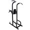 Стойка для подтягиваний DFC POWERGYM PK020 - фото 20397