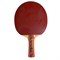 Ракетка Donic Testra OFF with Twingo Plus rubbers - фото 23001