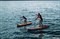 Доска SUP JP 20 AllroundAir 10'6"x32"x6" LE 10'6" - фото 31024