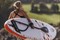 Надувная доска SUP Shark 10’6" All Round - фото 31069