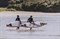 Надувная SUP доска Shark 12’6”x27” Race - фото 31156