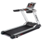 Беговая дорожка BH FITNESS MAGNA PRO - фото 33441