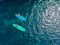 Надувная доска для sup бординга Aquatone WAVE PLUS  ALL-ROUND SUP 11’0″ 2022 - фото 37921