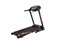 Беговая дорожка CardioPower T20старая - фото 40958