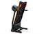 Беговая дорожка DFC AURA T450 - фото 42609
