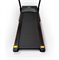 Беговая дорожка Everyfit 74500B - фото 42778