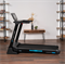 Беговая дорожка домашняя OXYGEN FITNESS EMERALD TFT 10 - фото 54244