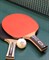 Ракетка для настольного тенниса Top Team 800 - фото 58297