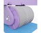 Тренажёр для пресса AB Roller SND-P фиолетовый с ковриком 34 х 17 x 0.6 cм - фото 79190