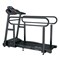 Беговая дорожка Orlauf Galeon - фото 80057