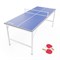 Теннисный стол DFC RayChee 60" 150 x 67 см - фото 87713