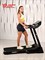 Беговая дорожка Titanium Masters Physiotech TBM - фото 93174