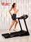 Беговая дорожка Titanium Masters Physiotech TBM - фото 93178