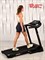 Беговая дорожка Titanium Masters Physiotech TBM - фото 93182