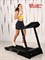 Беговая дорожка Titanium Masters Physiotech TBM - фото 93185