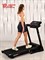Беговая дорожка Titanium Masters Physiotech TCA - фото 93192