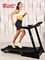 Беговая дорожка Titanium Masters Physiotech TCA - фото 93197