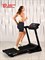 Беговая дорожка Titanium Masters Physiotech TCA - фото 93205
