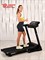 Беговая дорожка Titanium Masters Physiotech TCA - фото 93207