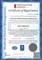 Беговая дорожка AMF 9945w - фото 96910