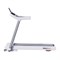 Беговая дорожка Ergonova MaxBurn Air - фото 99775